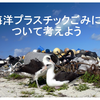 WWFジャパン、教材「海洋プラスチックごみについて考えよう」を公開 画像