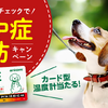 アニコム損保、犬の熱中症予防を目的として地面の温度計を抽選でプレゼントすると発表 画像