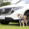 メルセデス・ベンツ EQC は乗れば乗るほど気持ちが豊かになっていくEV…愛犬も安心できる快適性 画像