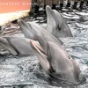 アドベンチャーワールド、みさき公園より28種約170頭の動物たちを受け入れ 画像