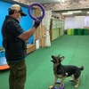 犬との“遊び”で社会を救いたい…切り札は、ドッグエクササイズTOY「PULLER」 画像