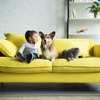 在宅勤務でペットとの生活に変化はあったか、犬飼育者にアンケート調査実施…イオンペット 画像