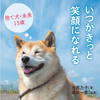 青春出版社、「いつかきっと笑顔になれる～捨て犬・未来15歳～」を刊行…9月10日 画像