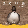 鳥の写真集「まるい鳥」を刊行…パレードブックス 画像