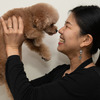 【トリマーというお仕事 vol.2】犬とじっくり向き合い、ストレスのないお手入れを…インタビュー 画像