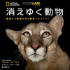 ナショナル ジオグラフィック、写真集「PHOTO ARK 消えゆく動物 絶滅から動物を守る撮影プロジェクト」を刊行 画像