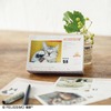 フェリシモ、日めくりカレンダー「まいにちにゃんこ2021」と「まいにちわんこ2021」を発売 画像