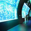 アクアワールド茨城県大洗水族館、開館以来初となる大規模リニューアルを実施…12月下旬 画像