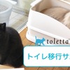 トレッタキャッツ、toletta利用全猫対象に「トイレ移行サポート」をスタート 画像