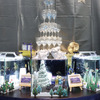 アクア・トト ぎふ、クリスマスをテーマとした3つの水槽を展示…12月27日まで 画像