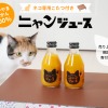 和歌山みかん100％を使用した「ニャンジュース」の予約開始…売上の2％を保護猫活動の支援金へ 画像