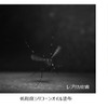 アドベンチャーワールド、カバの分泌する「赤い汗」を花王に提供…蚊に刺されることを防ぐ技術開発 画像