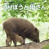 第1回日本写真絵本大賞・金賞受賞作「うりぼうと母さん」、大空出版より刊行 画像