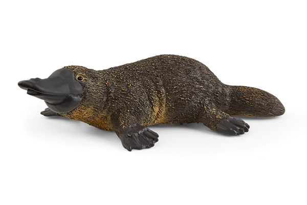 アリクイやイボイノシシなど、シュライヒの野生動物シリーズ