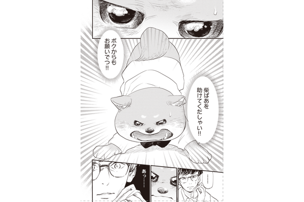 東北の架空の港町を舞台にした犬漫画の3巻『柴ばあと豆柴太 3