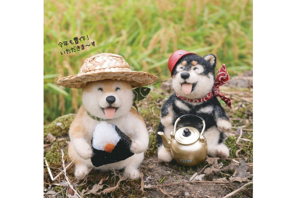 本物よりかわいい 羊毛フェルトのやんちゃな柴犬』、主婦の友社より