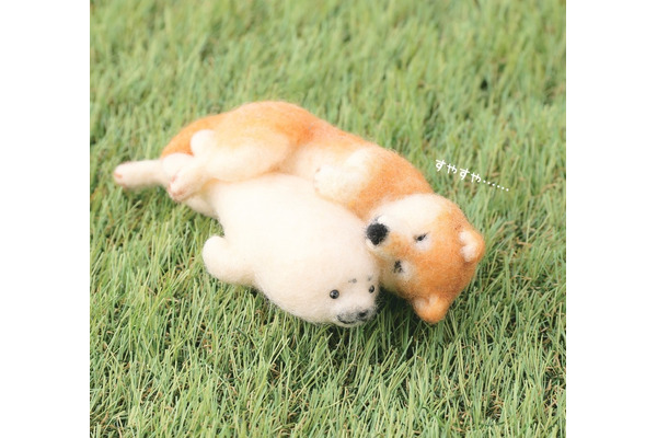 本物よりかわいい 羊毛フェルトのやんちゃな柴犬 主婦の友社より刊行 5枚目の写真 画像 動物のリアルを伝えるwebメディア Reanimal