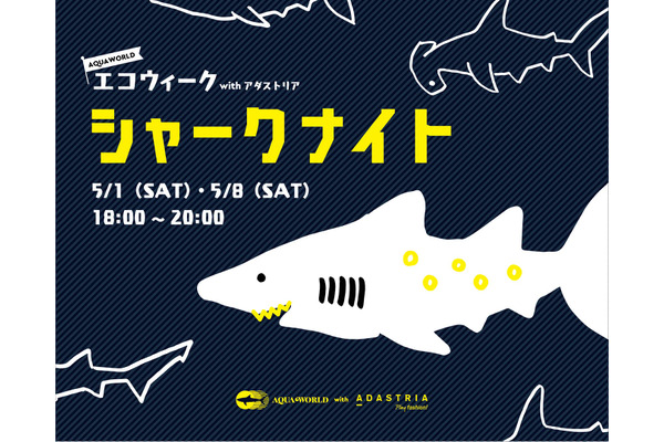 アクアワールド茨城県大洗水族館 Gwナイトイベント シャークナイト を開催 5月1日 8日 3枚目の写真 画像 動物のリアルを伝えるwebメディア Reanimal