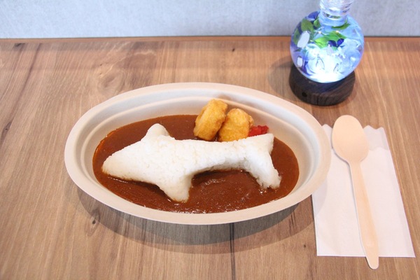 アクアワールド茨城県大洗水族館 Gwナイトイベント シャークナイト を開催 5月1日 8日 5枚目の写真 画像 動物のリアルを伝えるwebメディア Reanimal