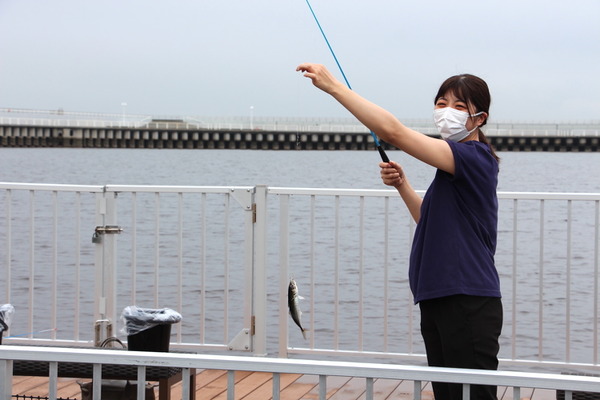海が教えるsdgs 釣って食べて学ぶ うみファーム 八景島シーパラダイス 2枚目の写真 画像 動物のリアルを伝えるwebメディア Reanimal