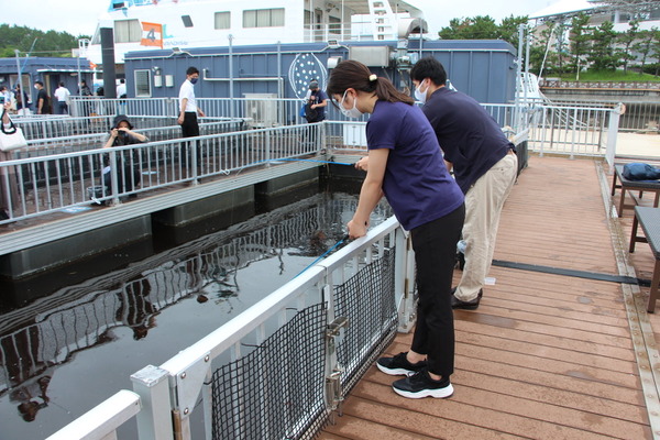 海が教えるsdgs 釣って食べて学ぶ うみファーム 八景島シーパラダイス 5枚目の写真 画像 動物のリアルを伝えるwebメディア Reanimal