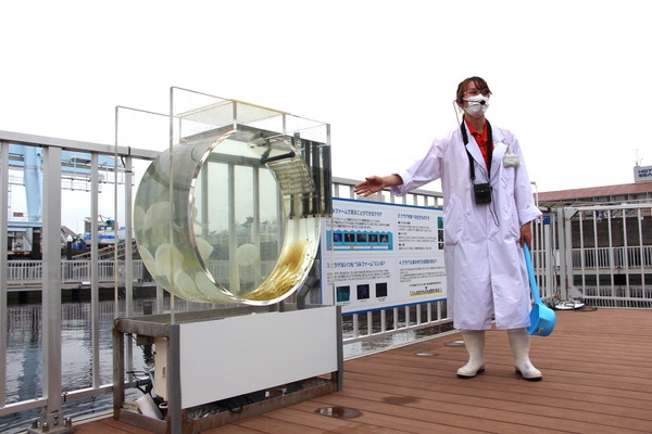 海が教えるsdgs 釣って食べて学ぶ うみファーム 八景島シーパラダイス 9枚目の写真 画像 動物のリアルを伝えるwebメディア Reanimal