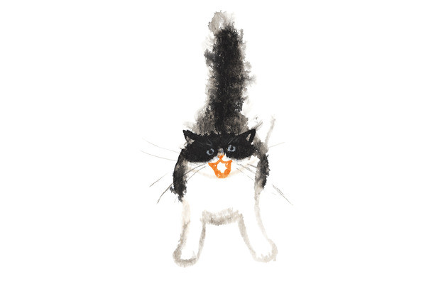 絵本 うちのねこ アリス館より刊行 4枚目の写真 画像 動物のリアルを伝えるwebメディア Reanimal