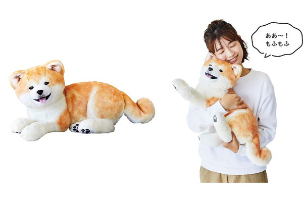 フェリシモが秋田犬保存会とコラボ ぬいぐるみ ポーチを発売 3枚目の写真 画像 動物のリアルを伝えるwebメディア Reanimal