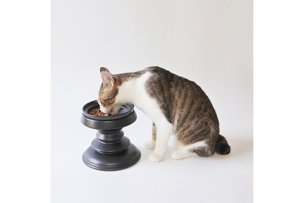 222猫の日 猫はアートだ 開催 伊勢丹新宿店 日本橋三越本店 オンラインストア 5枚目の写真 画像 動物のリアルを伝えるwebメディア Reanimal