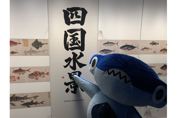さかなクンのイラスト展 Atoaにて開催 四国水族館とコラボ 2枚目の写真 画像 動物のリアルを伝えるwebメディア Reanimal さかなクンのイラスト展 Atoaにて開催 四国水族館とコラボ 2枚目の写真 画像 動物のリアルを伝えるwebメディア Reanimal
