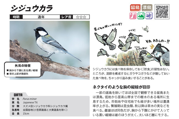 Amazon.co.jp: 新編 日本動物図鑑 : 本