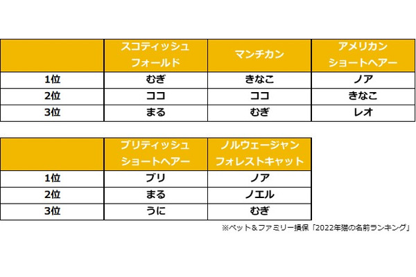22年 猫の名前ランキング を発表 ペット ファミリー損保 4枚目の写真 画像 動物のリアルを伝えるwebメディア Reanimal