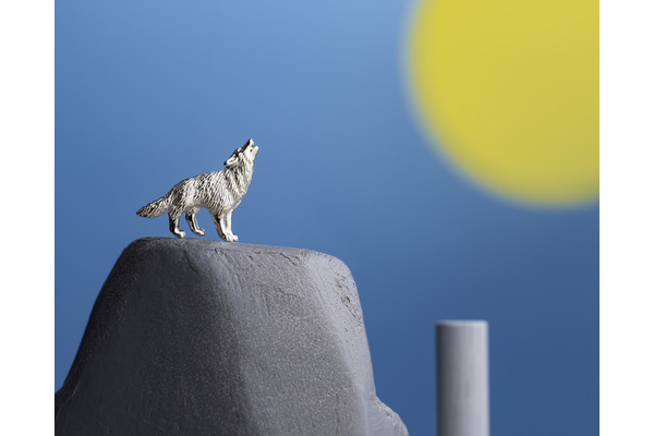 マヌルネコとシンリンオオカミ、旭山動物園の動物をモチーフにした