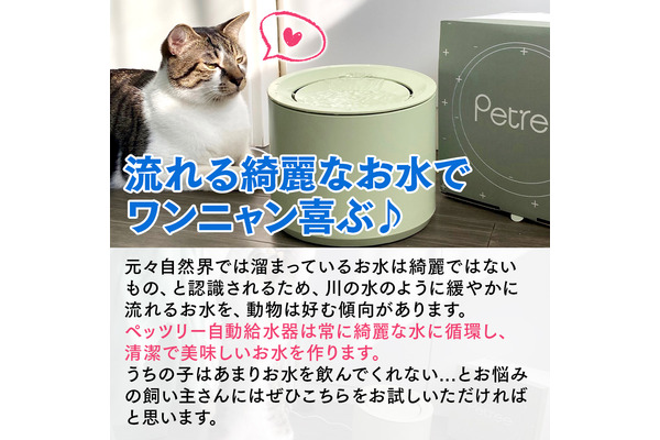 ブルーピッグ、清潔な水をペットに与えられる「PETREE」の犬猫用浄水 