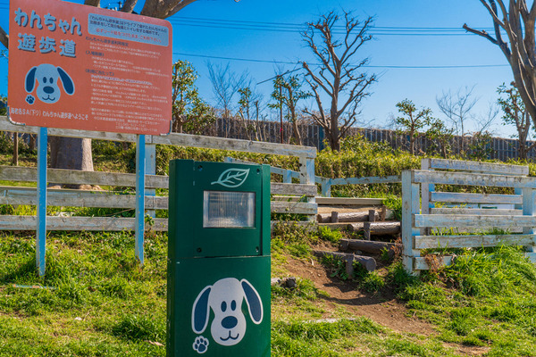 チワプーひめりんごの耳よりドライブ情報 愛犬家のパラダイス 東伊豆編 3枚目の写真 画像 動物のリアルを伝えるwebメディア Reanimal