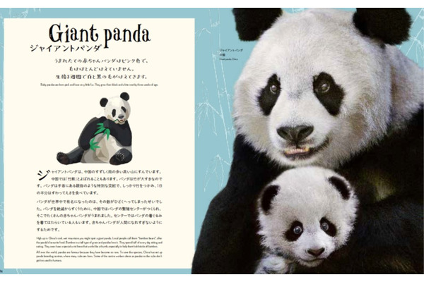 うつくしすぎる世界の動物 うつくしすぎる自然博物\u0026うつくしすぎる世界の動物 うつくしすぎる世界