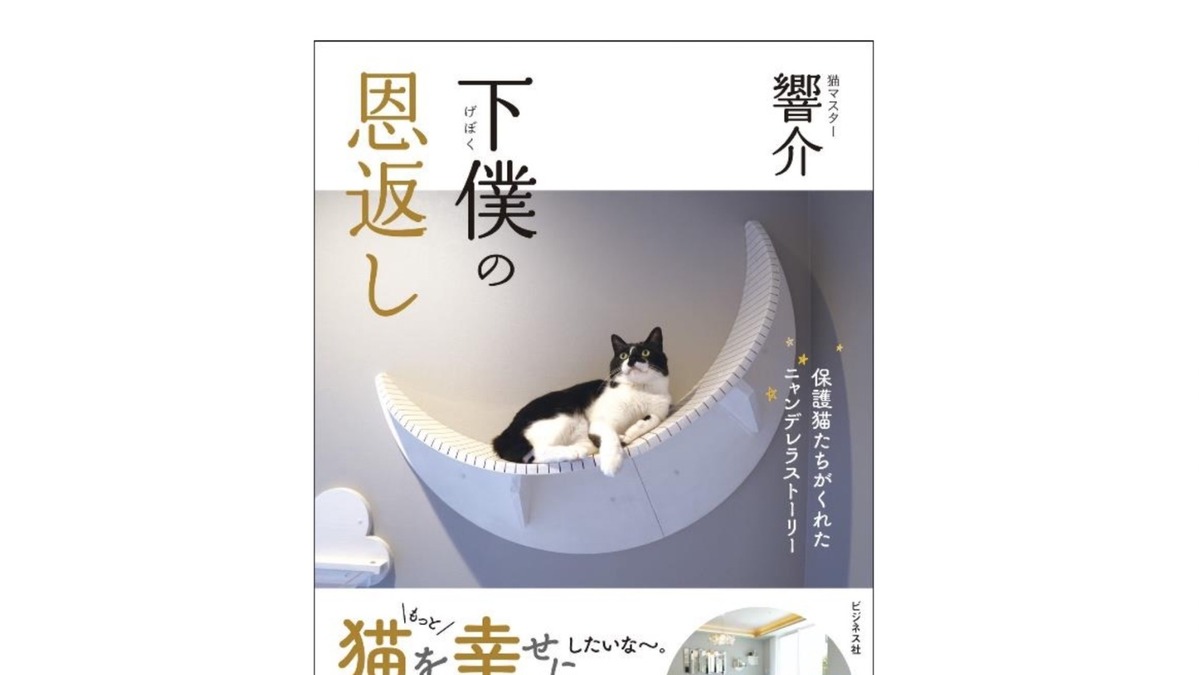 保護猫たちがくれたニャンデレラストーリー 下僕の恩返し ビジネス社より刊行 動物のリアルを伝えるwebメディア Reanimal
