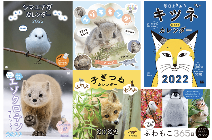 シマエナガ エゾクロテン エゾモモンガなど 22年 動物 カレンダー6点発売 翔泳社 動物のリアルを伝えるwebメディア Reanimal