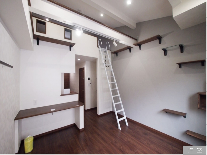 猫共生アパート「Calico羽田」、オーナー向けに販売を開始u2026アイディ