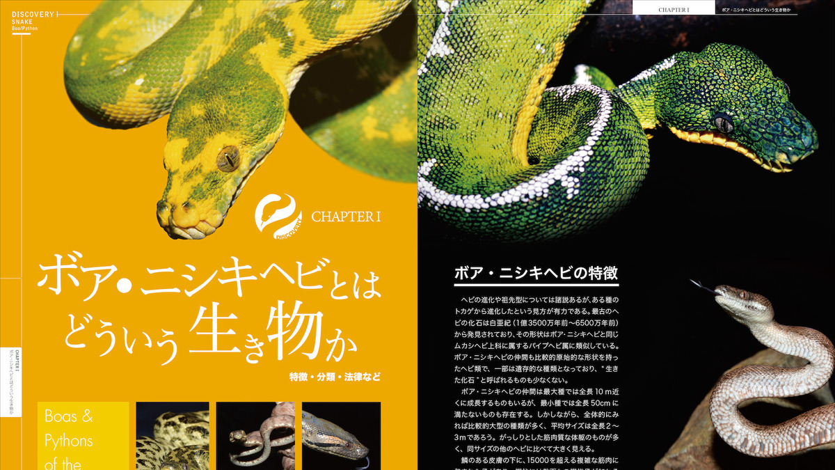 誠文堂新光社 ディスカバリー生き物 再発見 ヘビ大図鑑 ボア ニシキヘビ編 を刊行 7月8日 動物 のリアルを伝えるwebメディア Reanimal