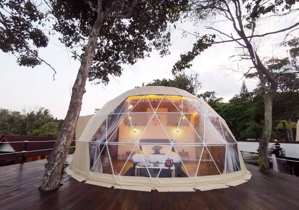 アニマルグランピング施設 The Bamboo Forest が千葉県市原市に誕生 年春 動物のリアルを伝えるwebメディア Reanimal