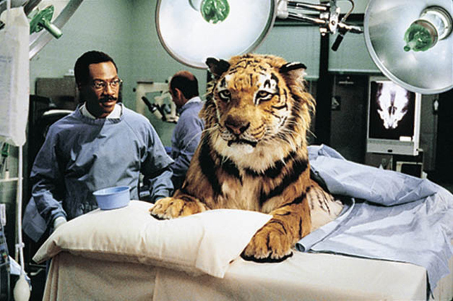 動物に会える映画 Vol 5 笑って楽しくなれる動物コメディ おすすめ3選 動物のリアルを伝えるwebメディア Reanimal