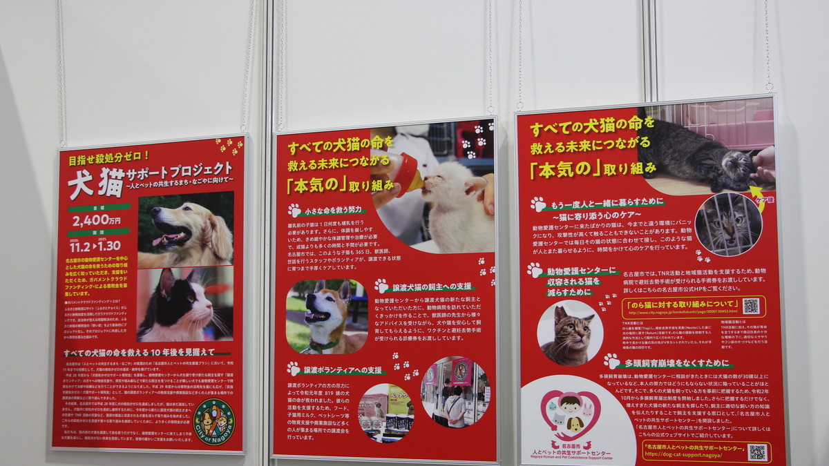 本当の殺処分ゼロに向けた 犬猫サポートプロジェクト 名古屋市健康福祉局 インターペット愛知 動物のリアルを伝えるwebメディア Reanimal