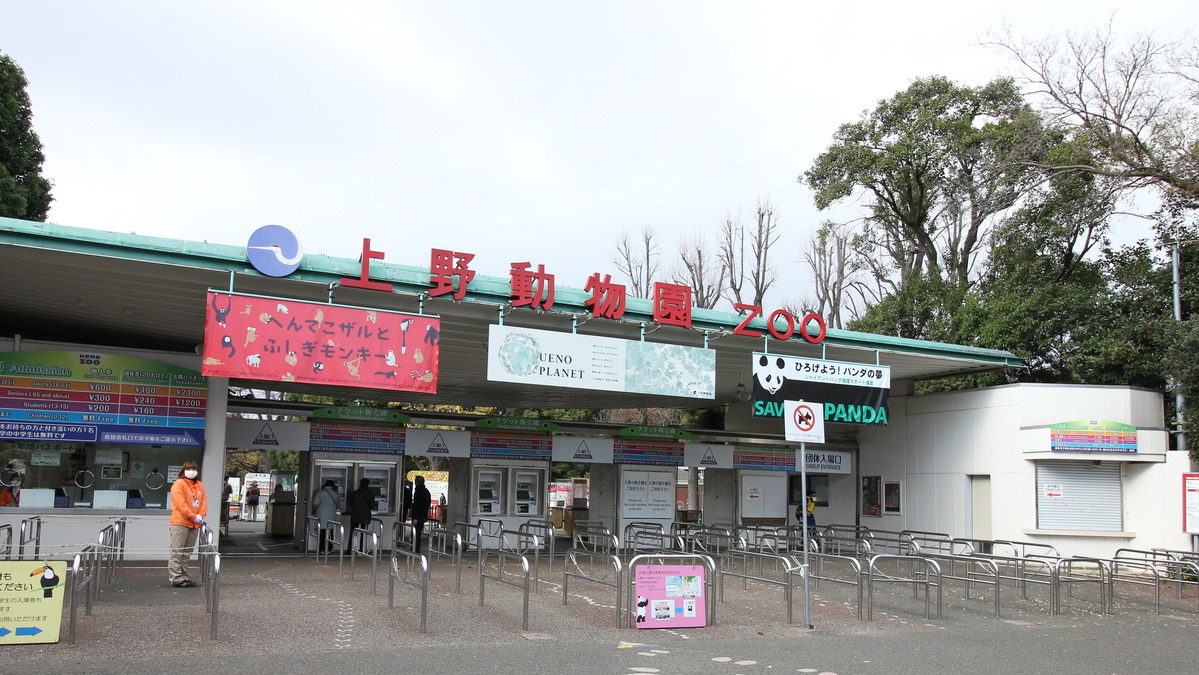 東京都 上野動物園や葛西臨海水族園など都立施設の臨時休園 休館を発表 12月26日 21年1月11日 動物のリアルを伝えるwebメディア Reanimal