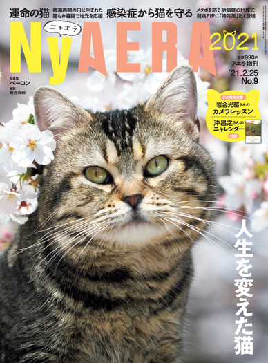 AERA」が猫化した「NyAERA 2021」刊行…6冊目のテーマは「人生を
