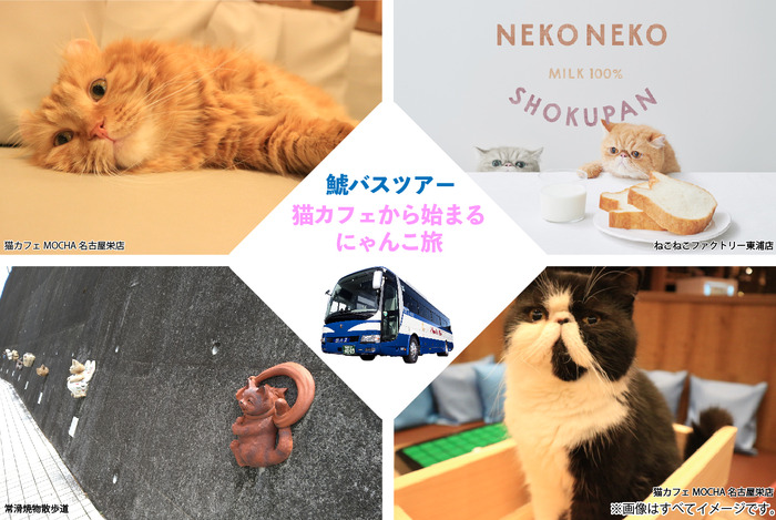 鯱バス、猫好きのための新たなバスツアー“にゃんこ旅”を発売…2月22日
