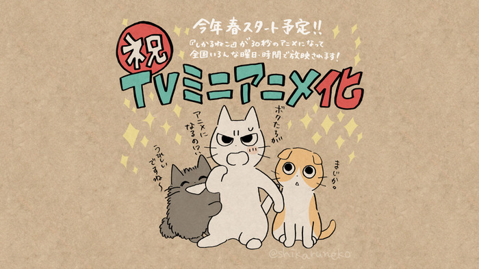 Twitterで人気の しかるねこ Tvミニアニメ化決定 21年春より全国放送 動物のリアルを伝えるwebメディア Reanimal