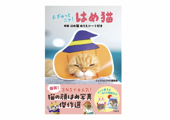 猫の顔出しパネル写真集『むぎゅっとニャ！ はめ猫』、宝島社より刊行