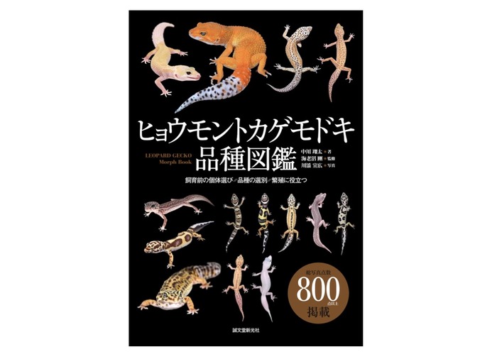 ヒョウモントカゲモドキ品種図鑑 | 株式会社誠文堂新光社