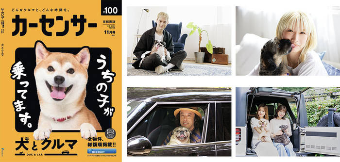 中古車情報誌 カーセンサー 11月号の特集は 犬とクルマ アーティスト 芸人5人が語る 動物のリアルを伝えるwebメディア Reanimal 中古車情報誌 カーセンサー 11月号の特集は 犬とクルマ アーティスト 芸人5人が語る 動物のリアルを伝えるwebメディア Reanimal